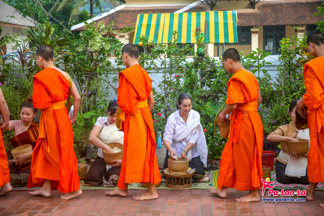 ตักบาตรข้าวเหนียว