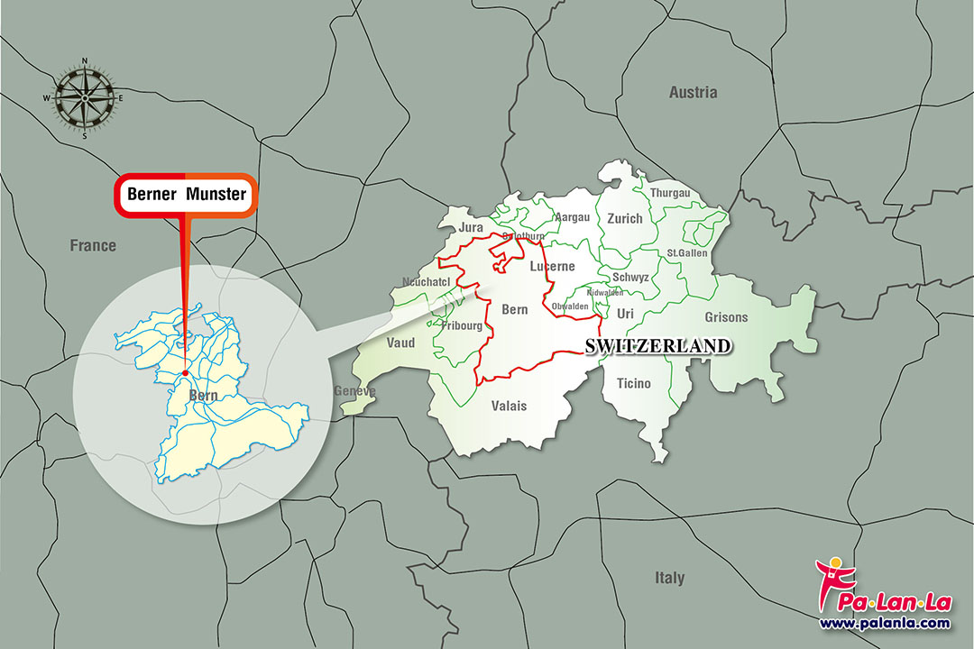 Berner Munster