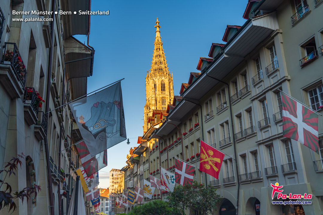 Berner Munster