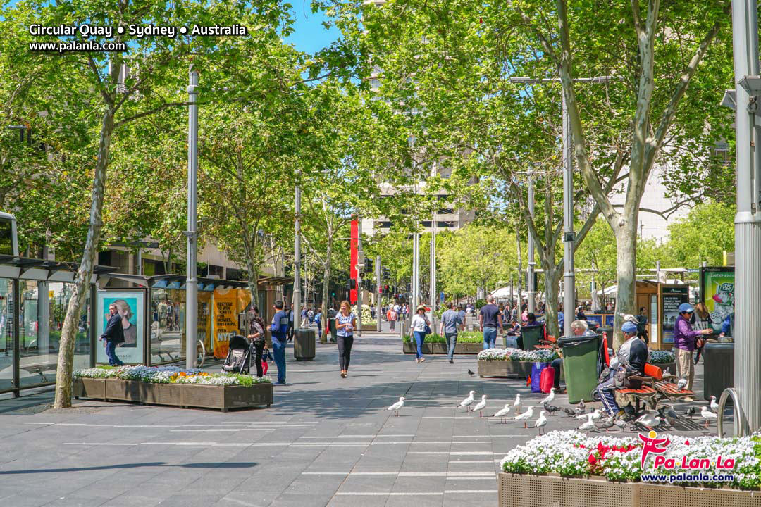 Circular Quay