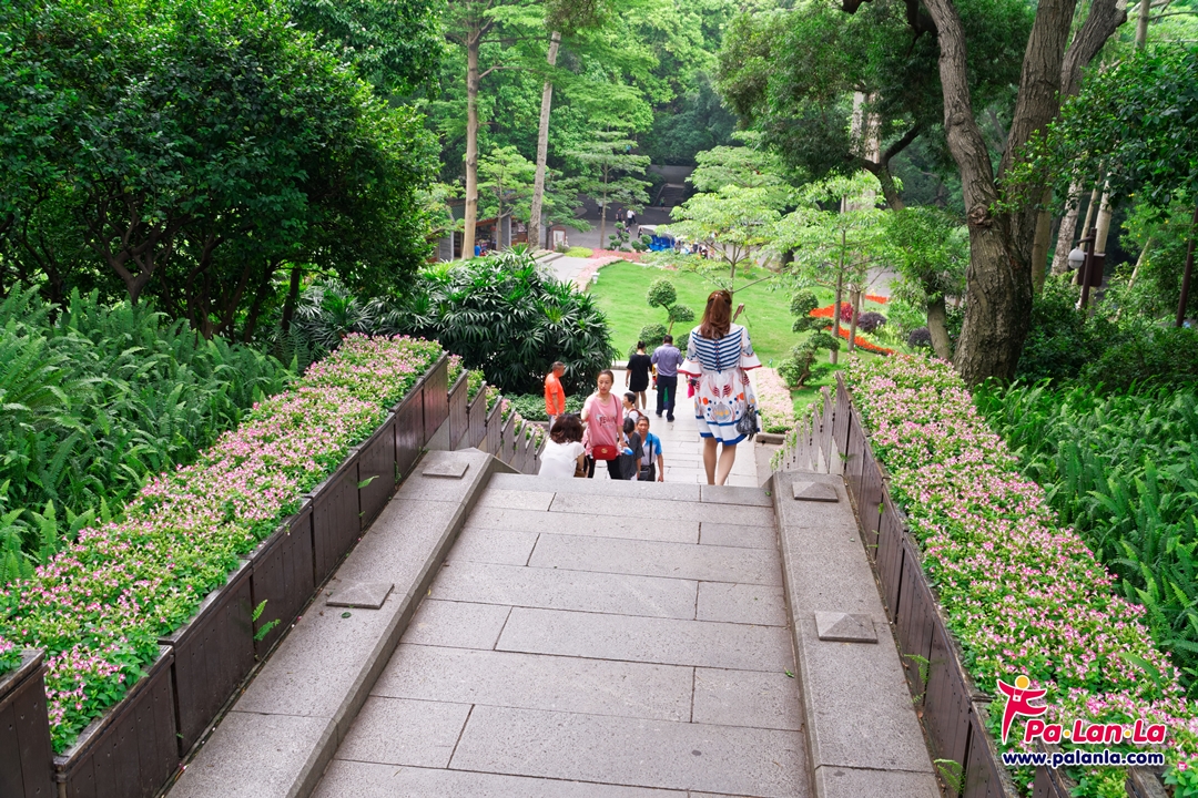 เส้นทางเดินขึ้นลง