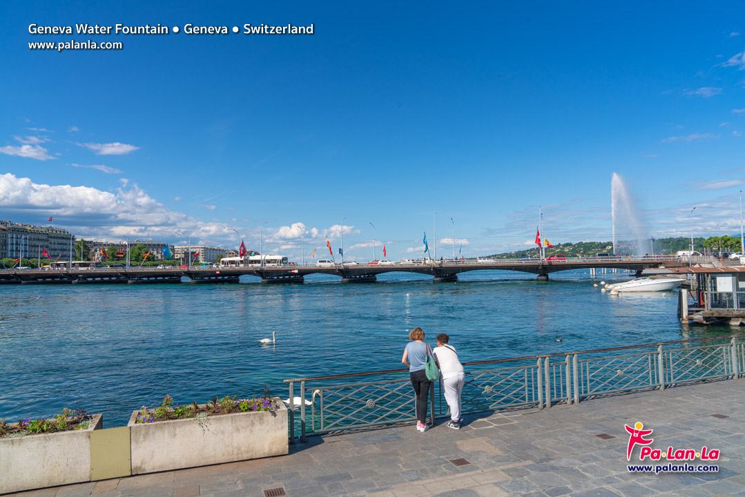Geneva Water Fountain