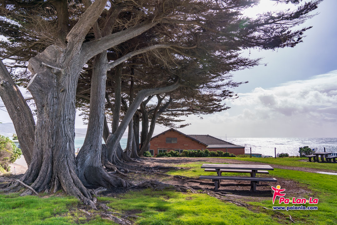 Great Ocean Road, Melbourne, Australia
