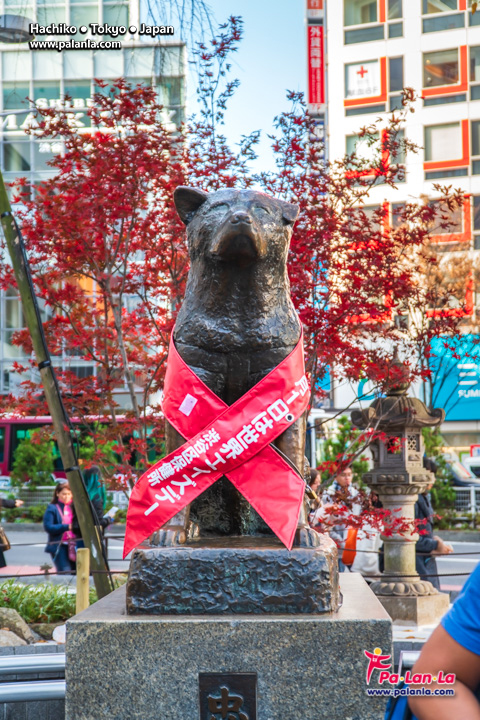 Hachiko