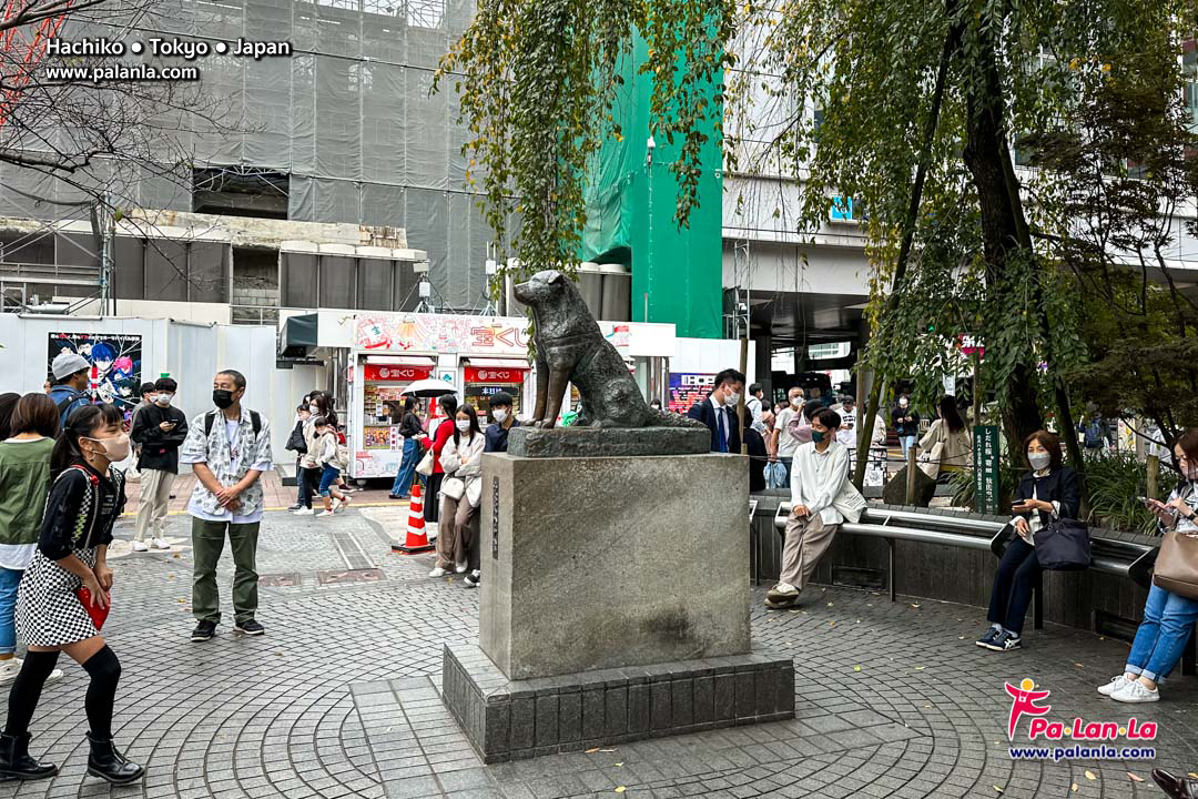 Hachiko