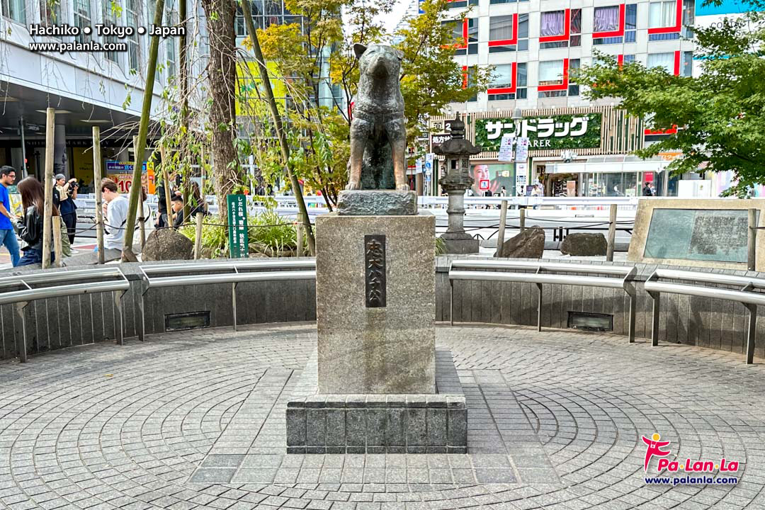 Hachiko