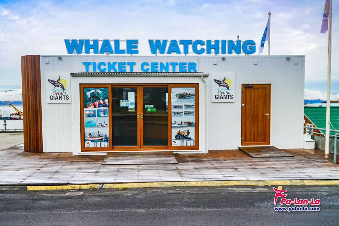 จุดจำหน่ายตั๋วล่องเรือชมวาฬ