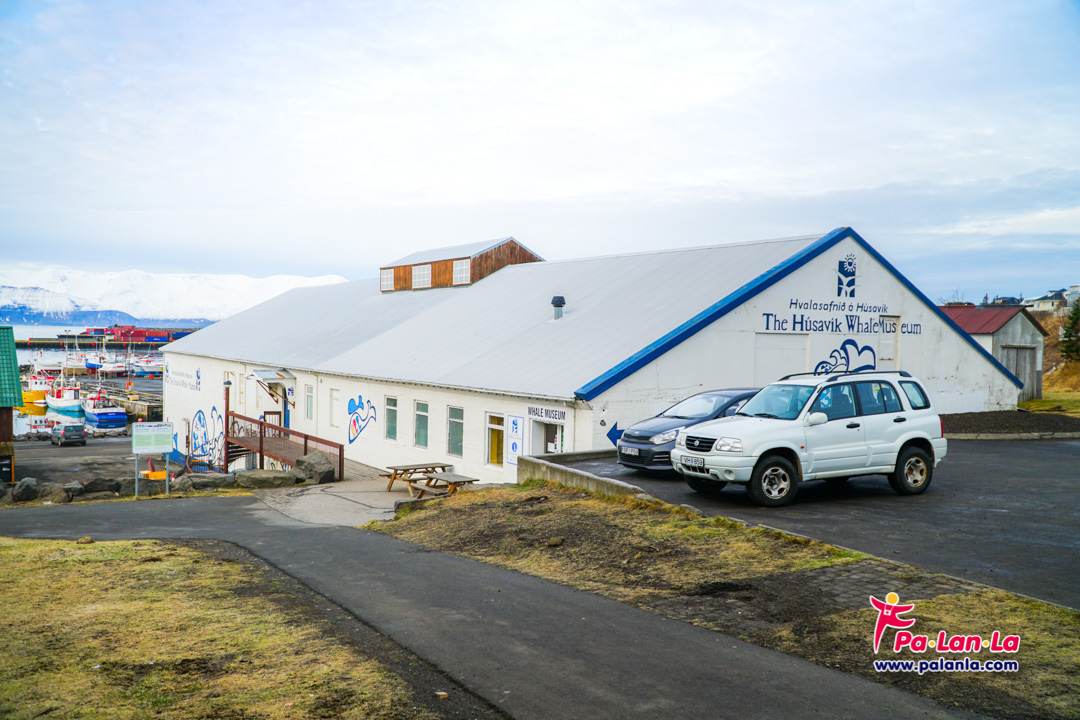 พิพิธภัณฑ์วาฬ