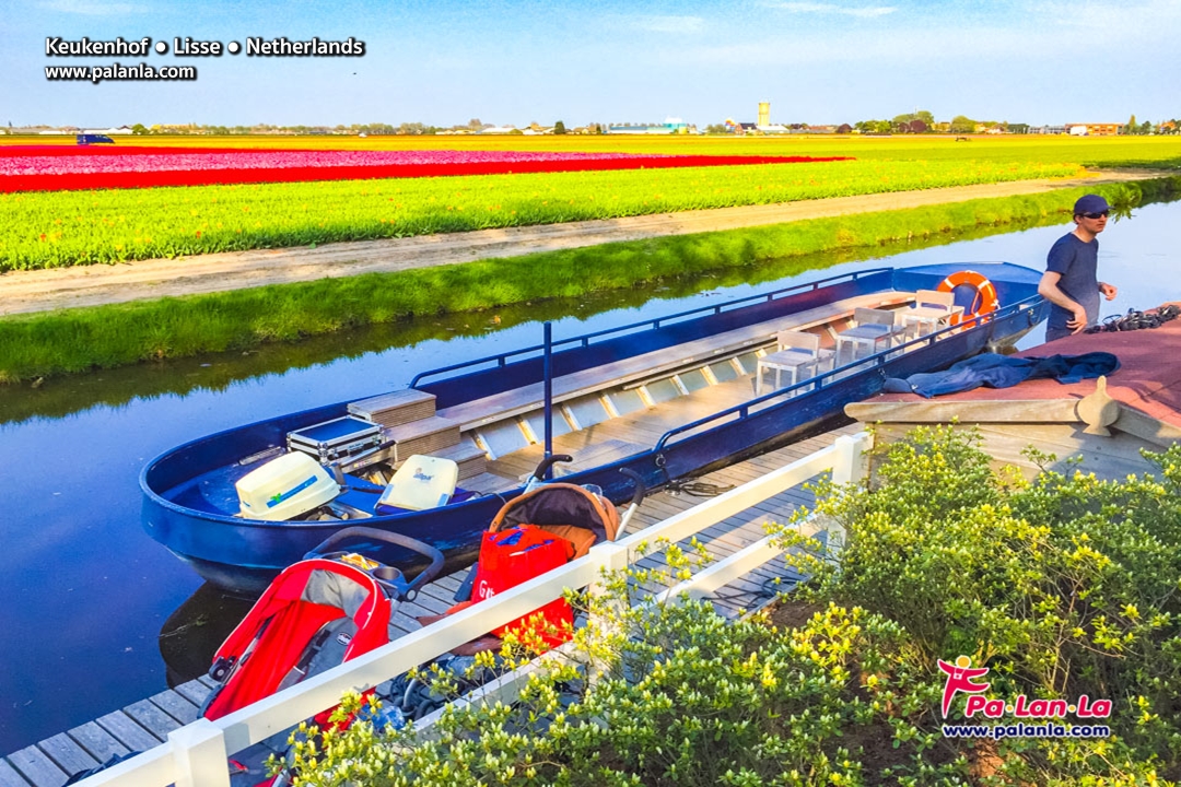 Keukenhof