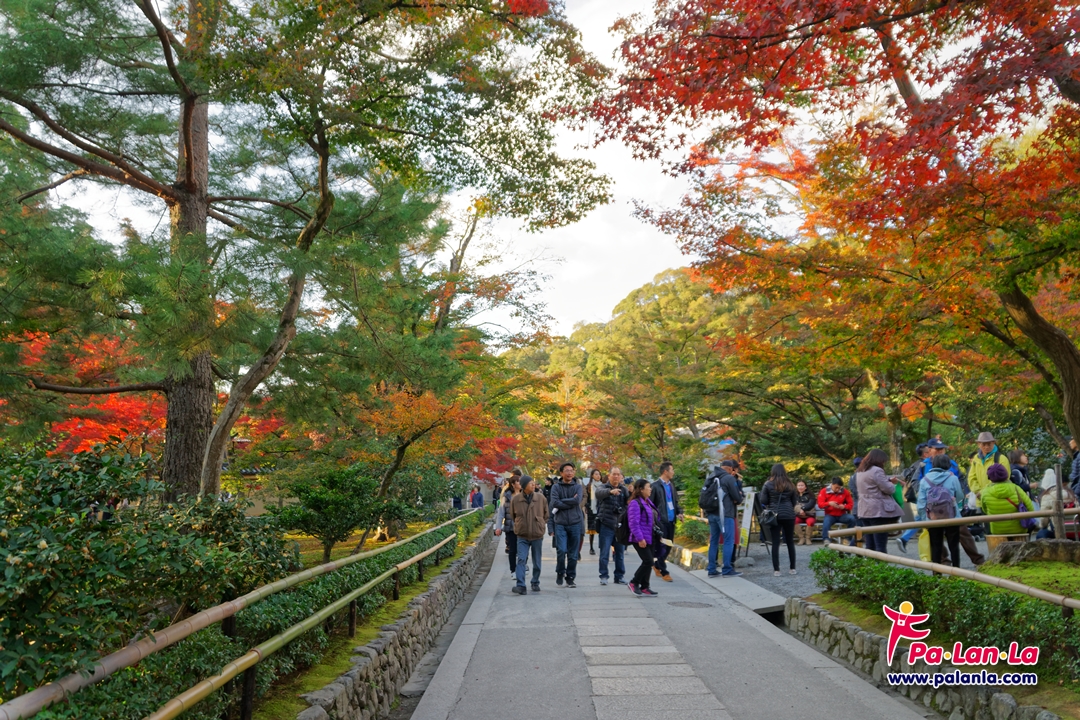 Kinkakuji (Rokuonji) Temple