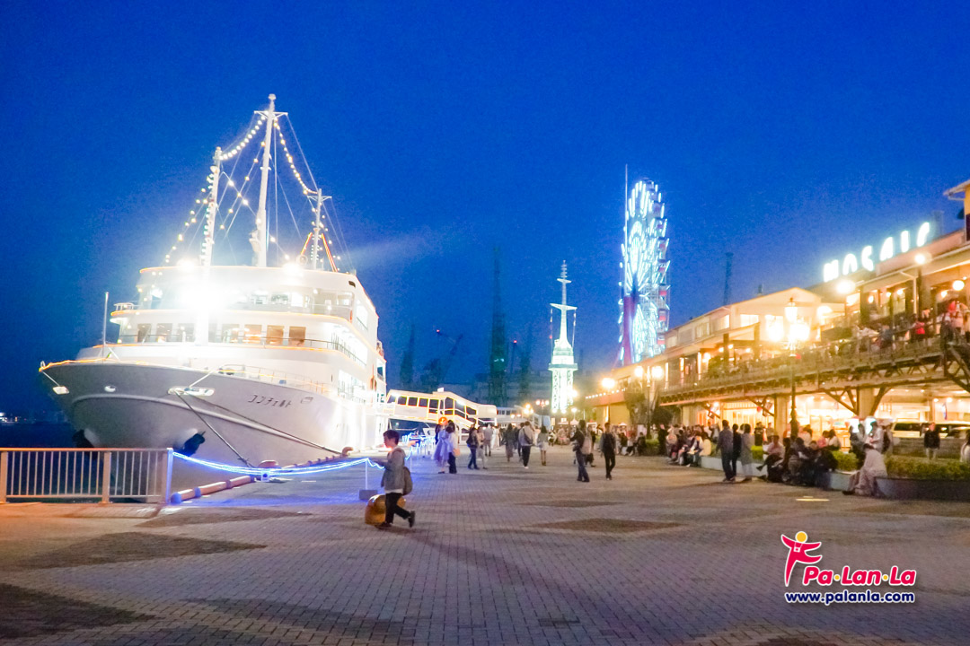 Luminous Kobe Cruise