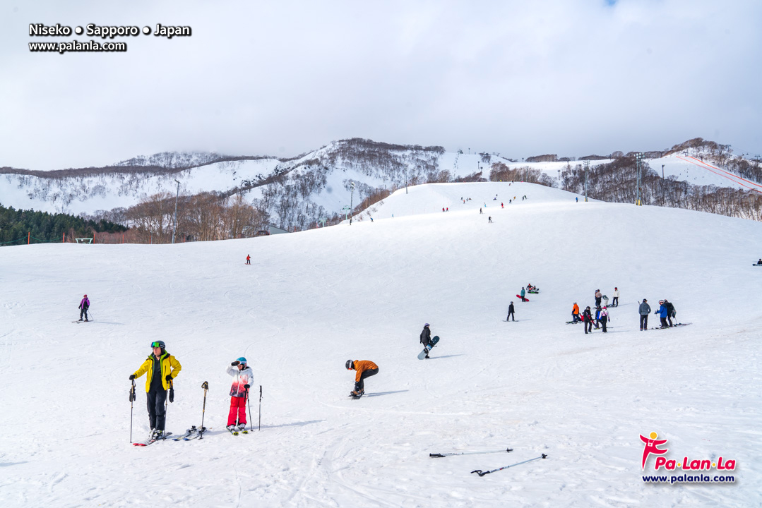 Niseko