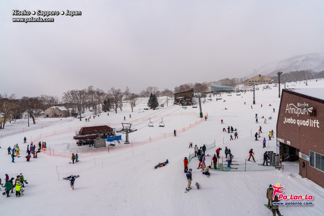 Niseko
