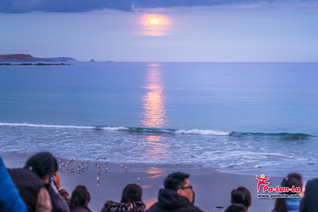 Penguin Parade at Phillip Island