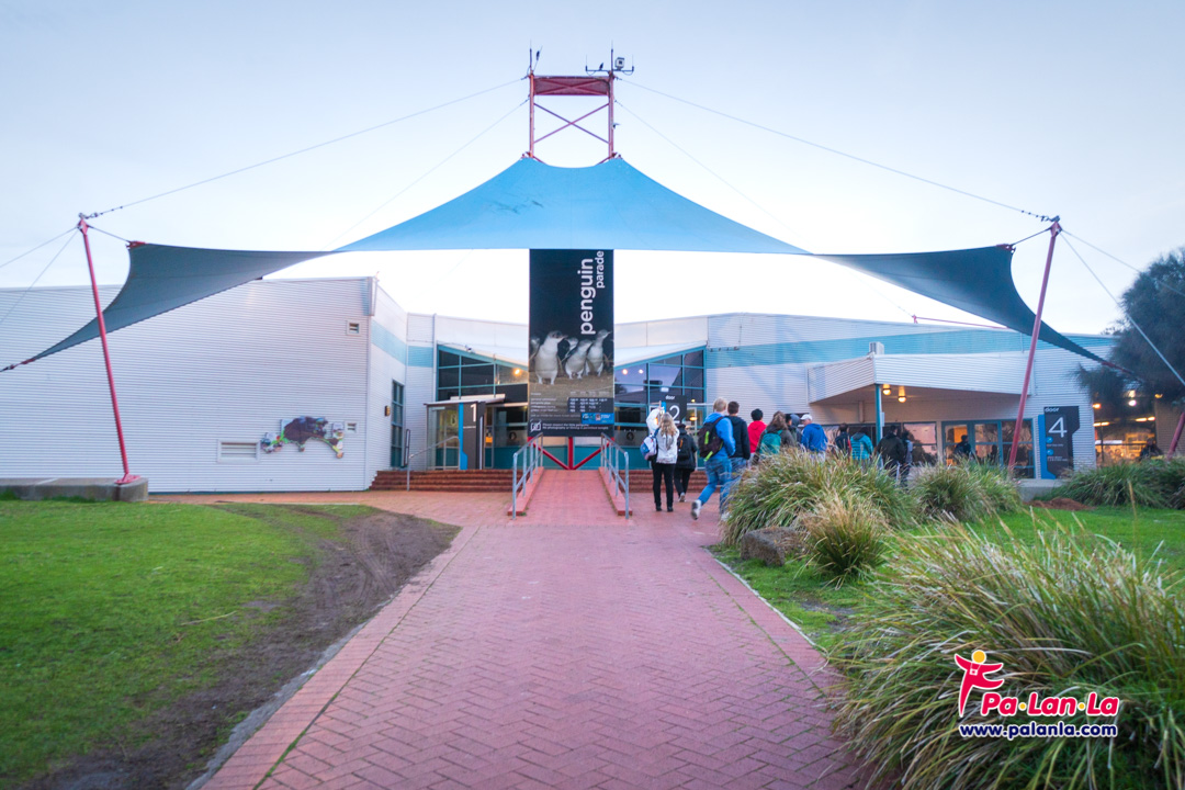 Penguin Parade at Phillip Island