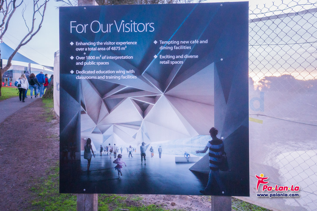 Penguin Parade at Phillip Island