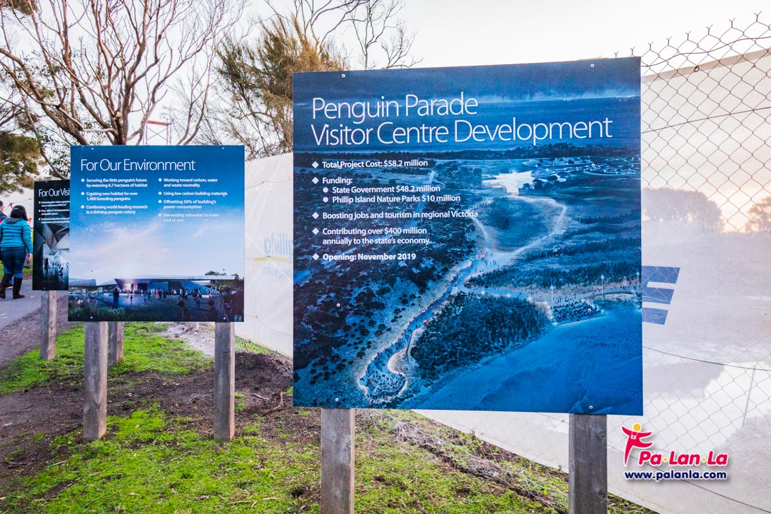 Penguin Parade at Phillip Island