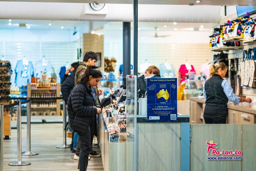 Penguin Parade at Phillip Island
