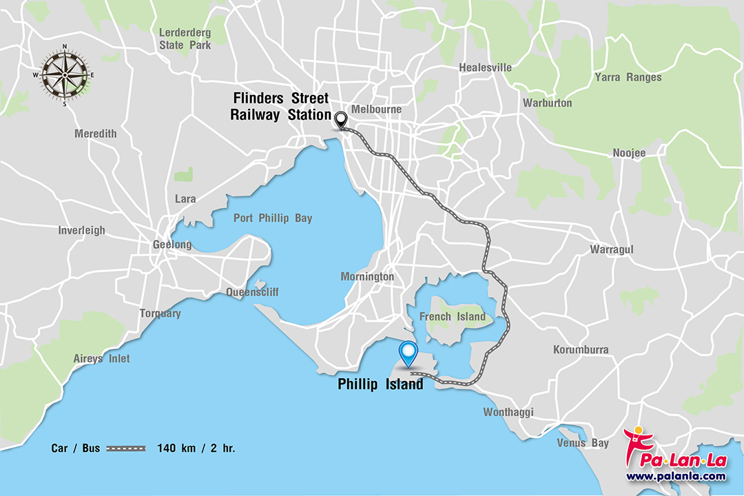 Penguin Parade at Phillip Island