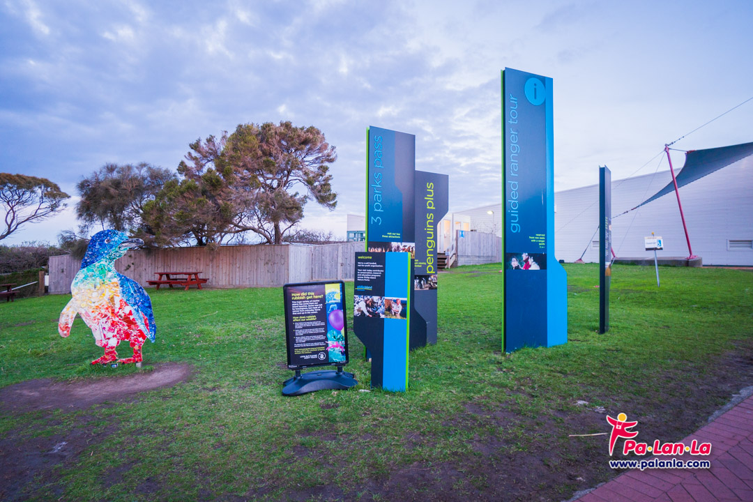 Penguin Parade at Phillip Island