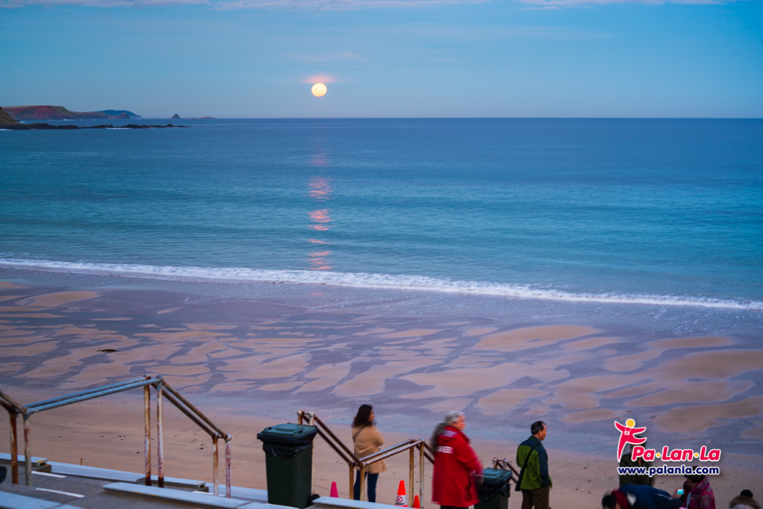 Penguin Parade at Phillip Island