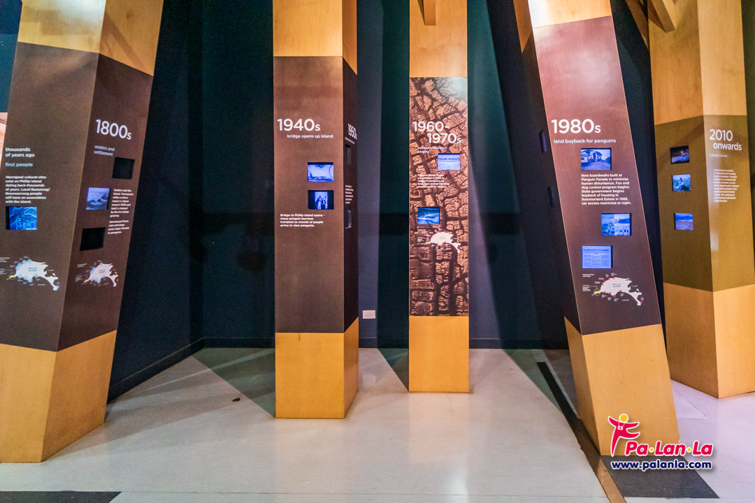 Penguin Parade at Phillip Island