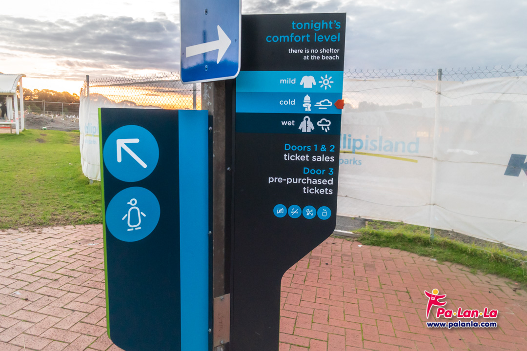 Penguin Parade at Phillip Island