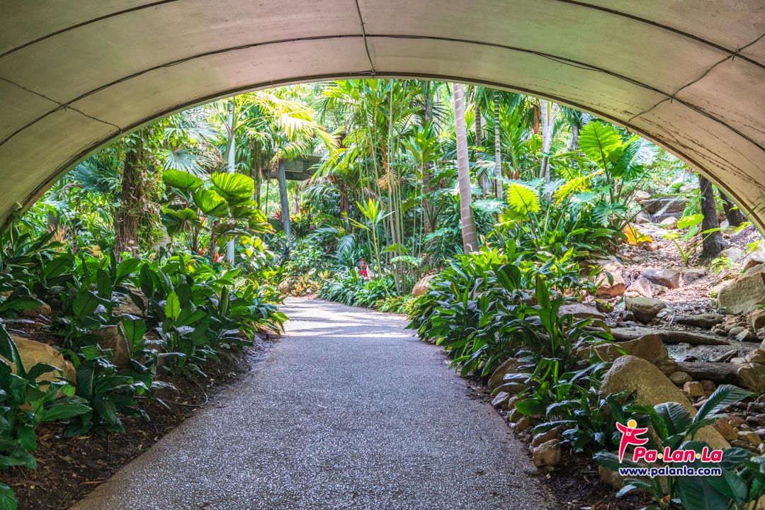 Roma Street Parkland, Brisbane, Australia