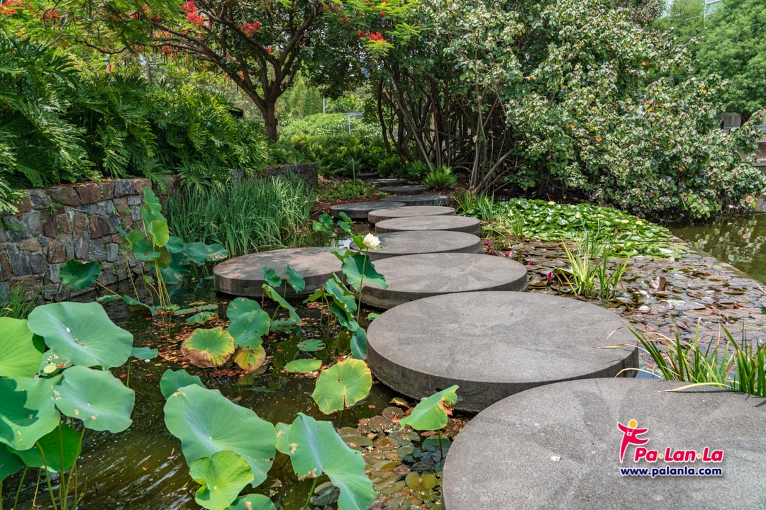 Roma Street Parkland, Brisbane, Australia