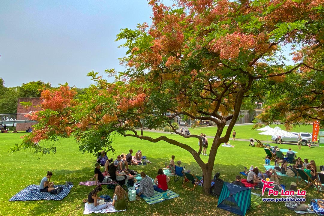 Roma Street Parkland, Brisbane, Australia