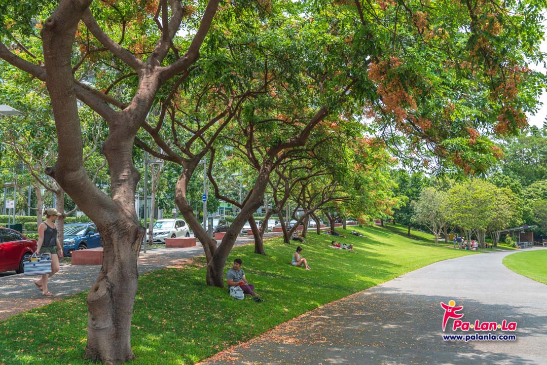 Roma Street Parkland, Brisbane, Australia