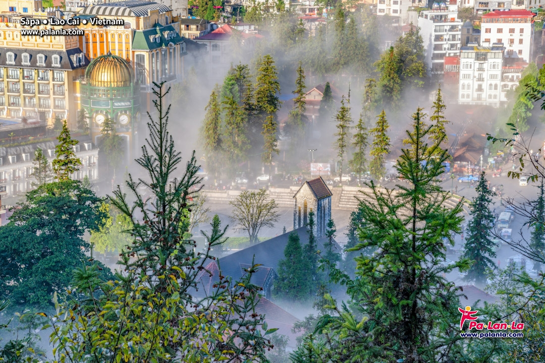 Sapa