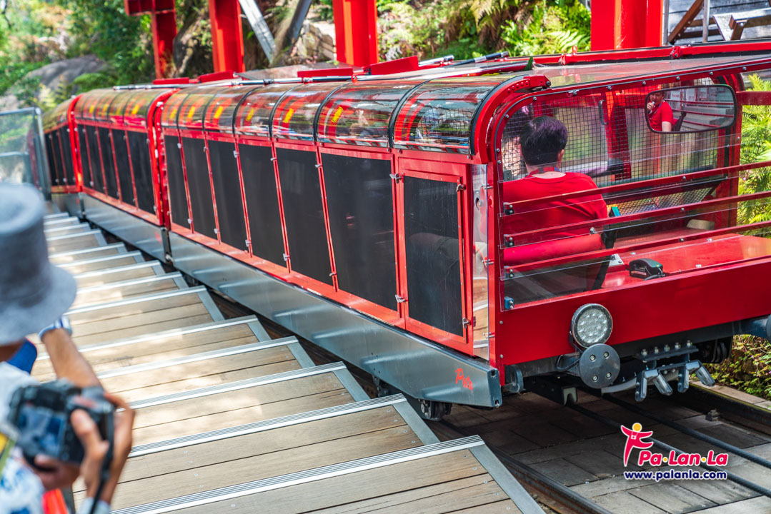 Scenic World Blue Mountains