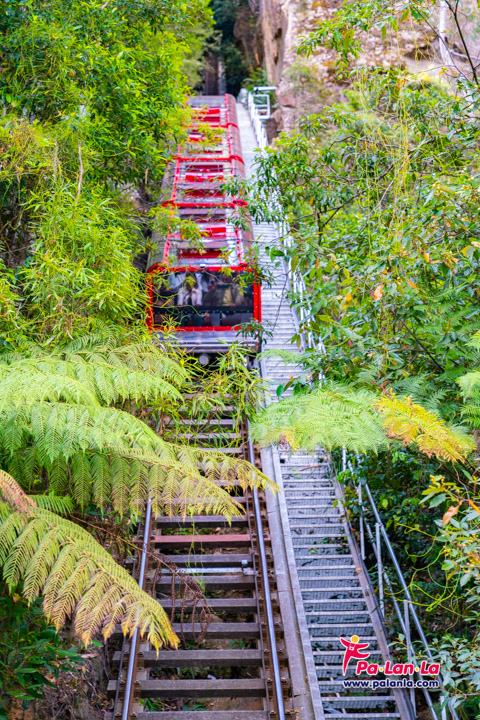 Scenic World Blue Mountains