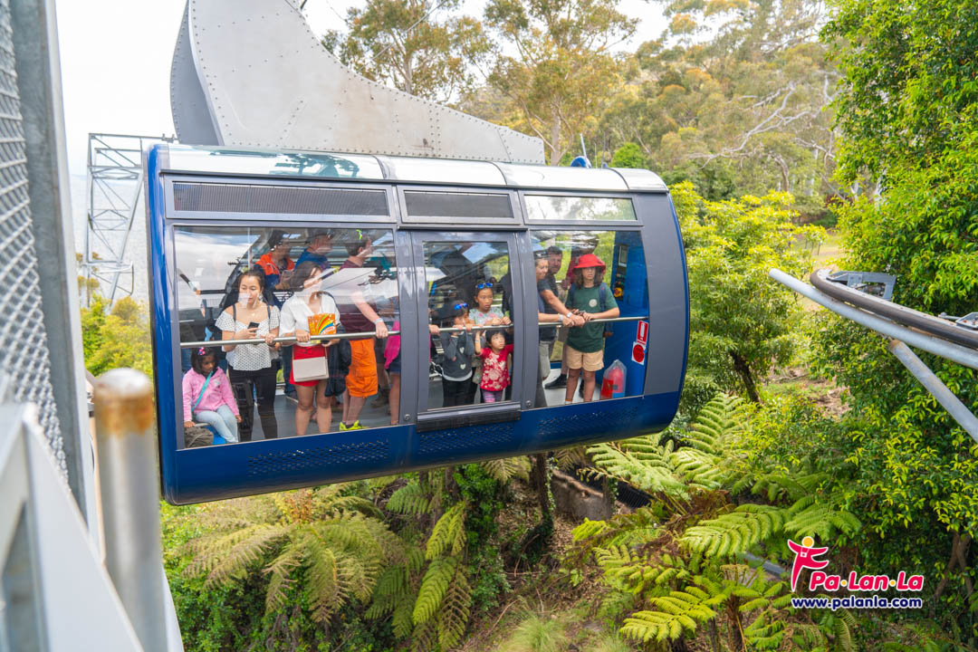 Scenic World Blue Mountains