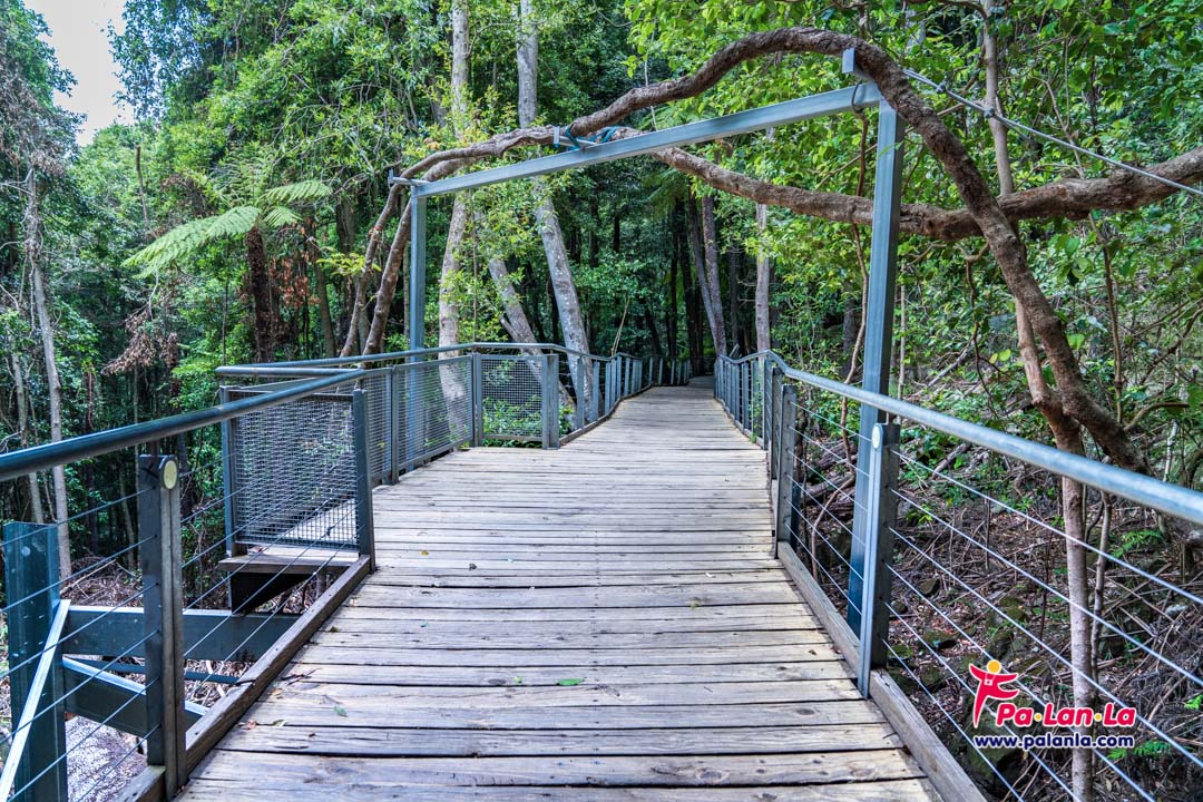 Scenic World Blue Mountains