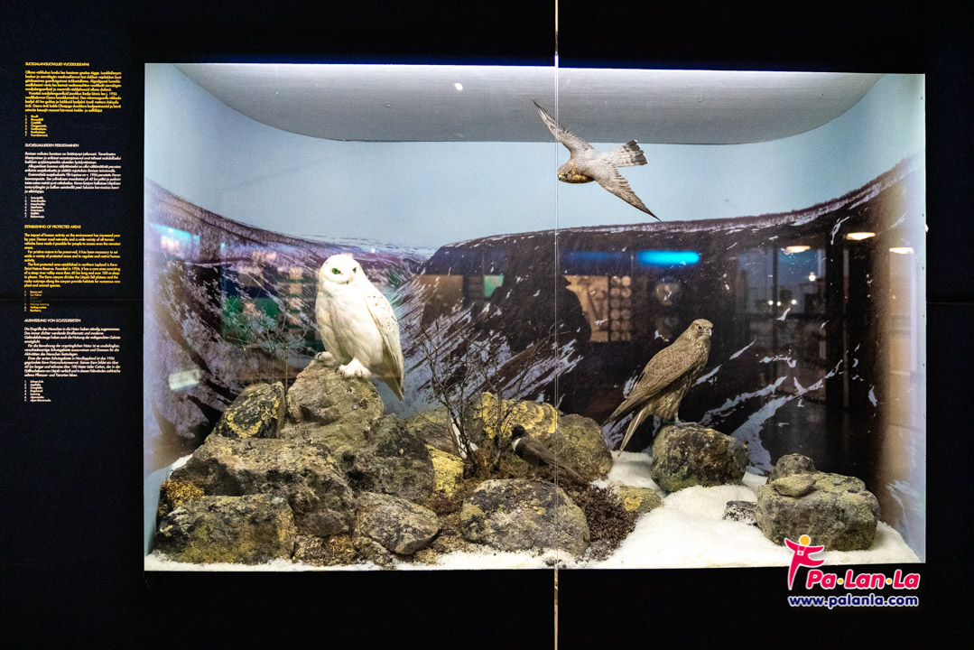 Siida Sami Museum and Nature Centre