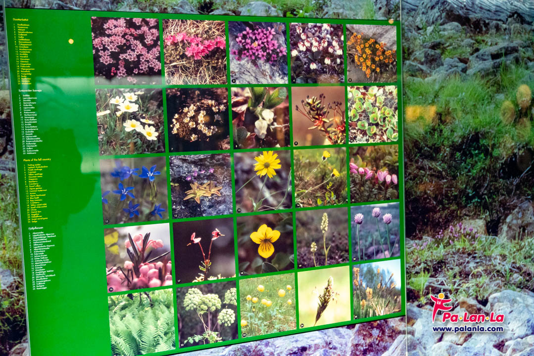 Siida Sami Museum and Nature Centre