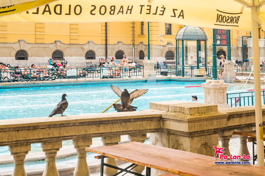 Szechenyi Thermal Bath