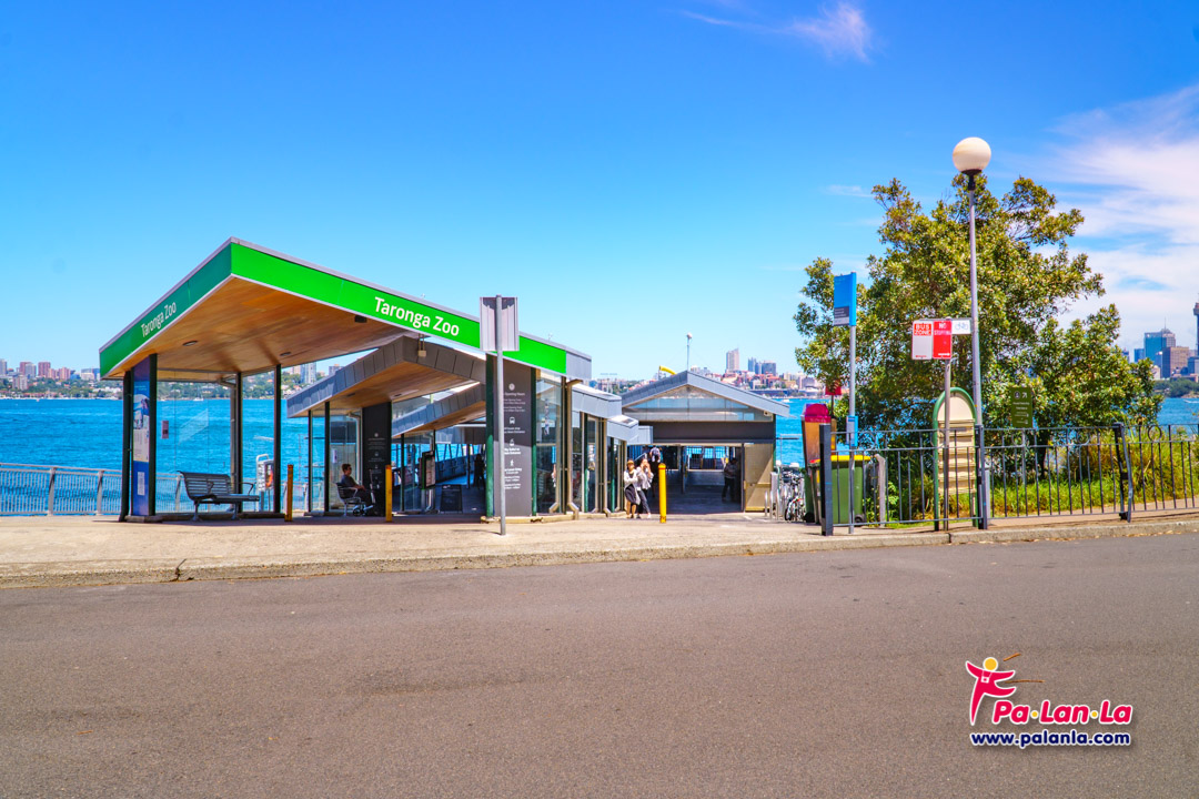 Taronga Zoo