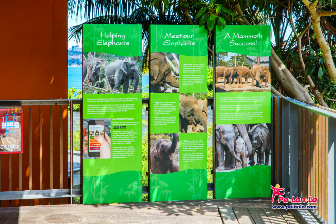 Taronga Zoo