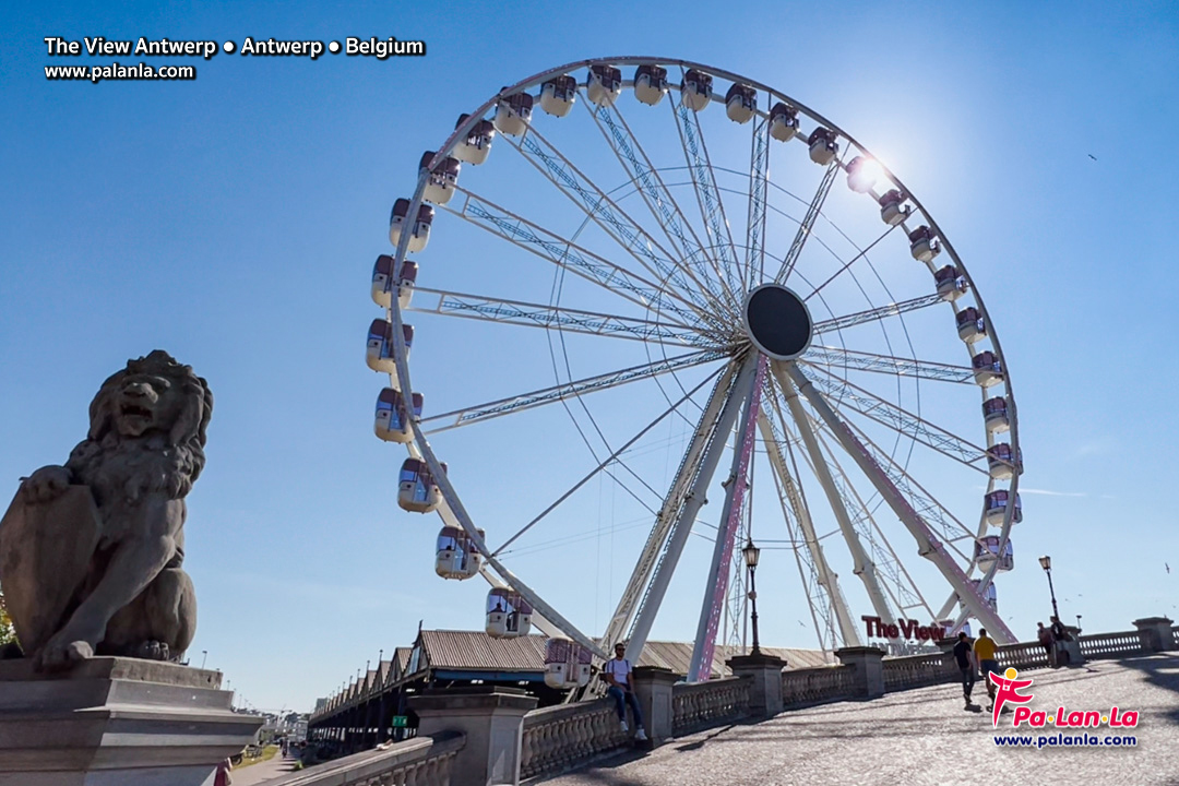 The Wheel Antwerp