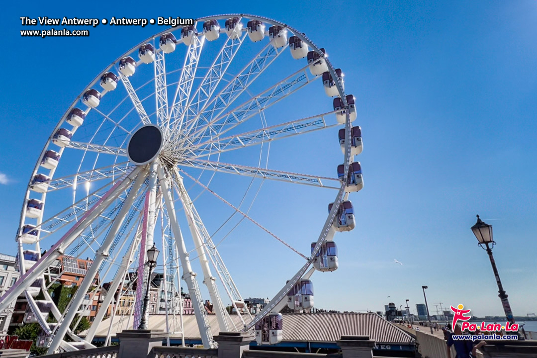 The Wheel Antwerp