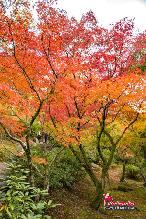 Tofukuji Temple
