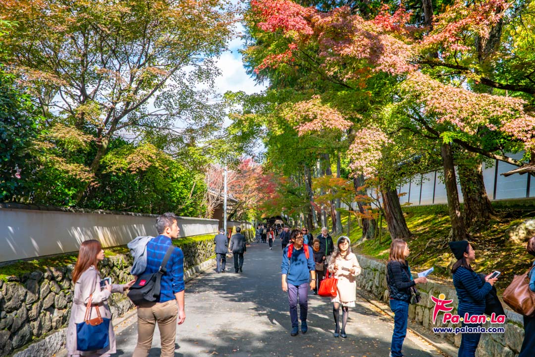 Tofukuji Temple