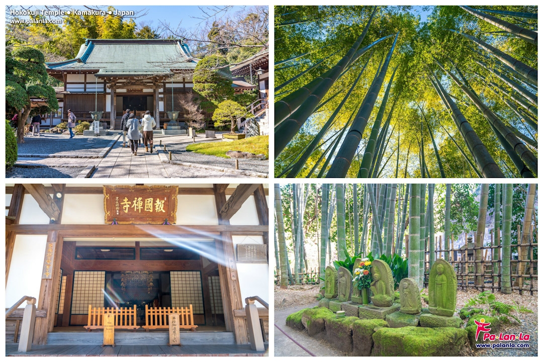 Top 7 Travel Destinations in Kamakura