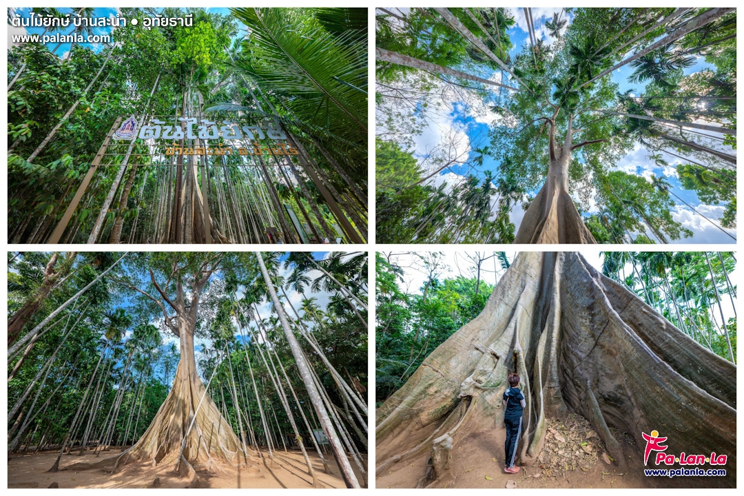 ชม UNSEEN เมืองอุทัยฯ สัมผัสวิถี SLOW LIFE ริมแม่น้ำสะแกกรัง