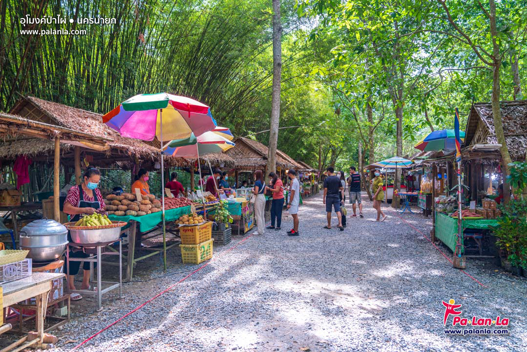 Bamboo Tree Tunnel
