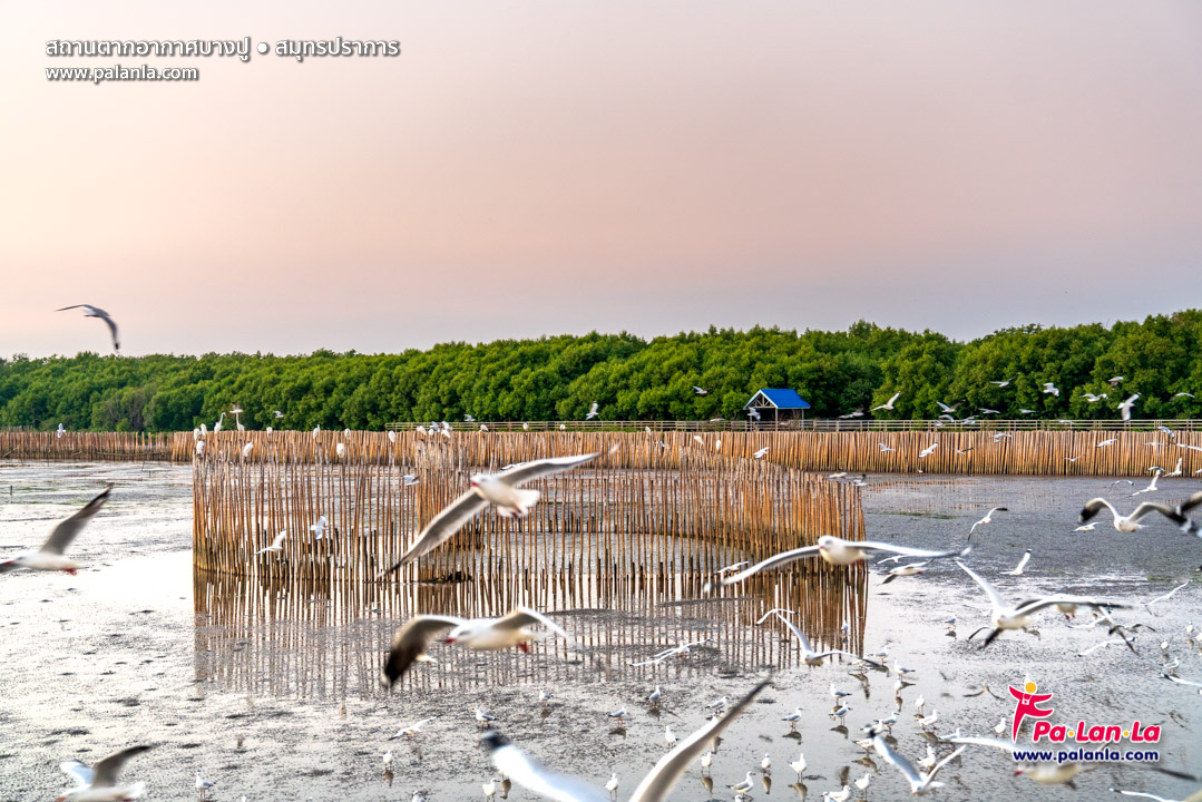Bang Pu Recreation Centre
