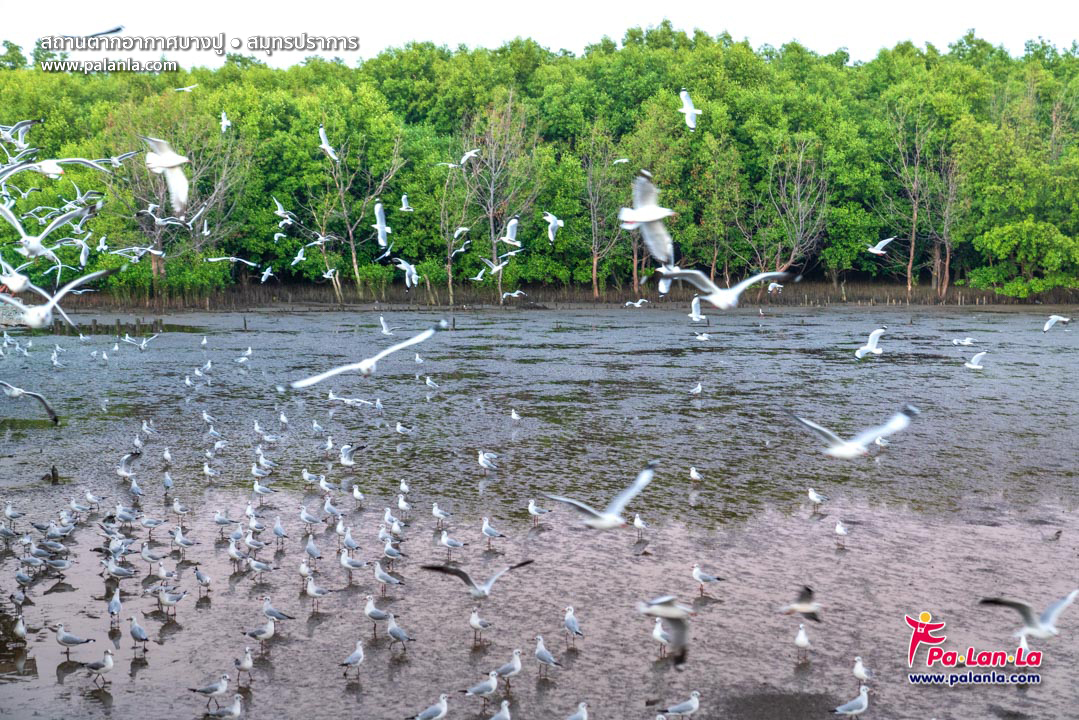 Bang Pu Recreation Centre
